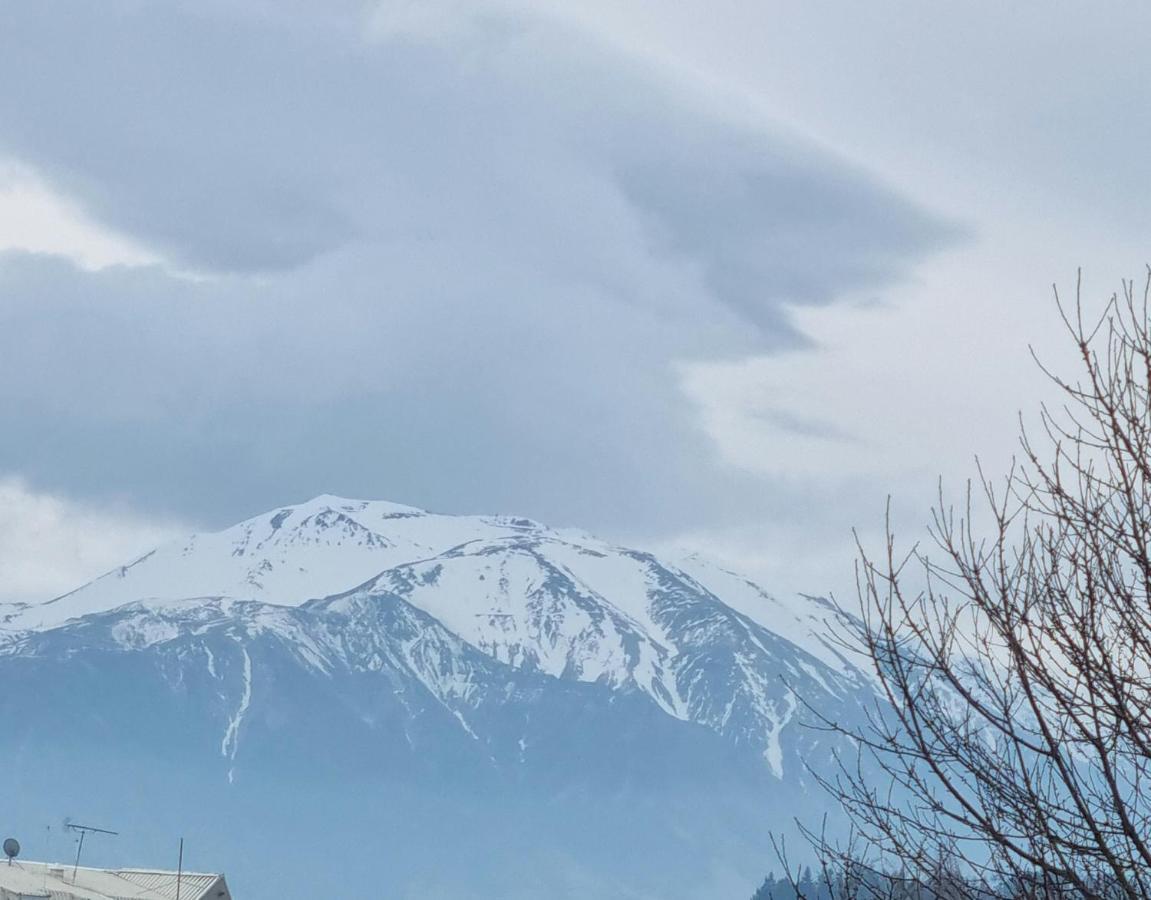 Methven Motel & Apartments Εξωτερικό φωτογραφία